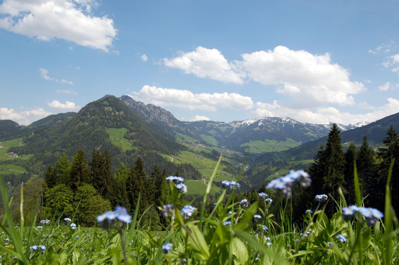 Bergchalet Rauchenhof ไรท์ แอม อัลป์บาคทัล ภายนอก รูปภาพ